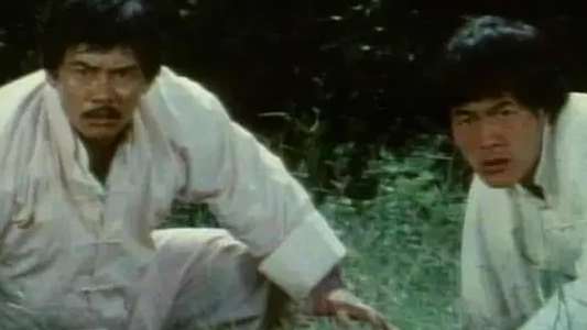 Bruce Lee The Invincible - Backdrops