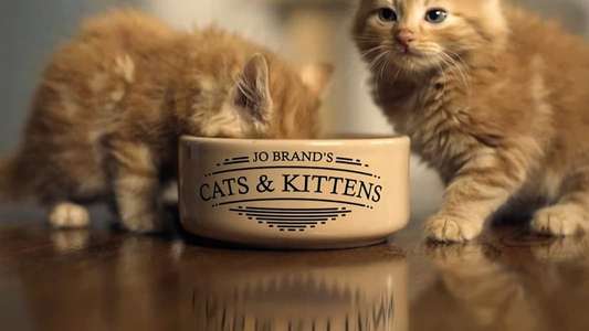 Jo Brand's Cats & Kittens - Backdrops