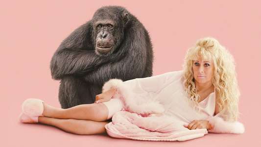 Chimp Crazy - Backdrops