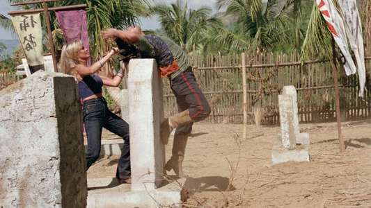Raw Force - Backdrops