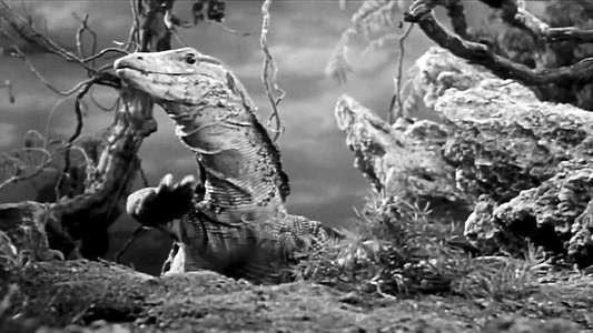King Dinosaur - Backdrops