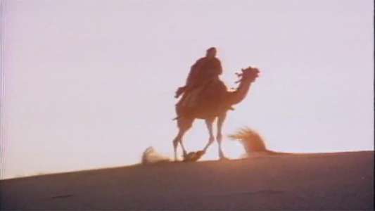 Moses the Lawgiver - Backdrops