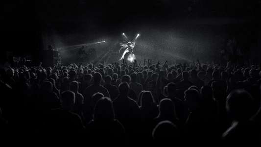 Trap - Backdrops