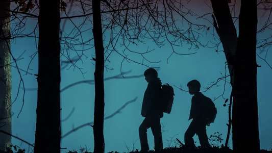 Salem's Lot - Backdrops