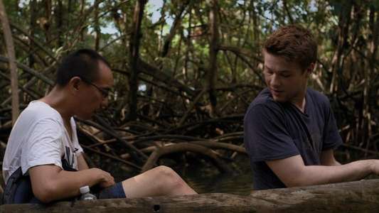 A.W. A Portrait of Apichatpong Weerasethakul - Backdrops