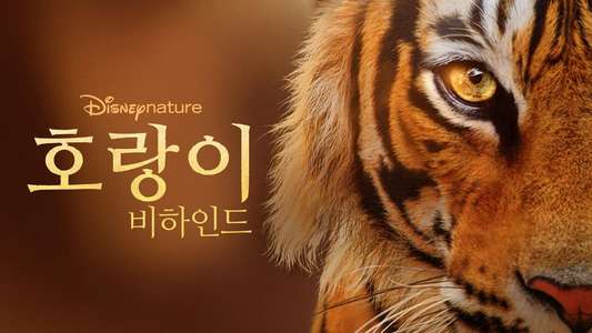 Tigers on the Rise - Backdrops