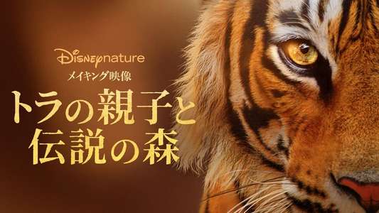 Tigers on the Rise - Backdrops