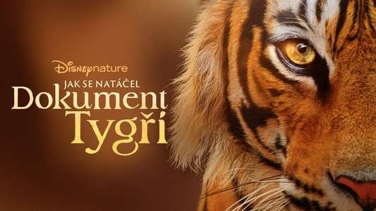 Tigers on the Rise - Backdrops