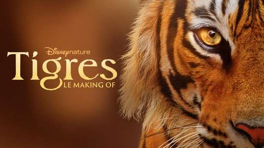 Tigers on the Rise - Backdrops