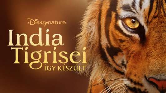 Tigers on the Rise - Backdrops
