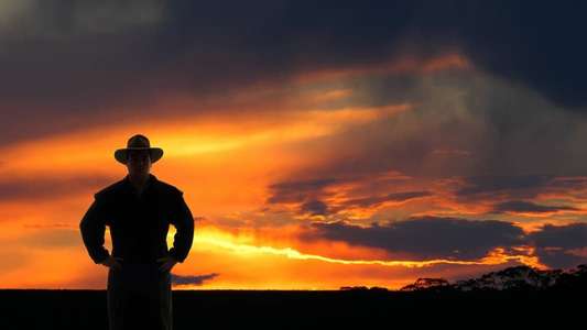 Heat of the Sun - Backdrops