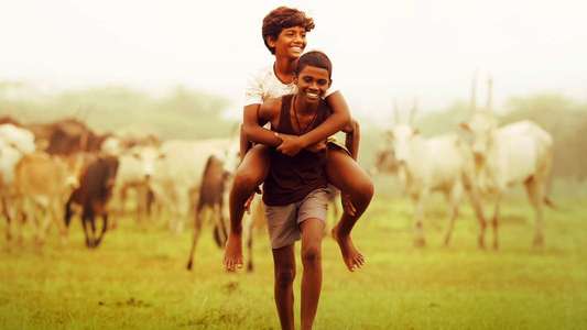 Vaazhai - Backdrops
