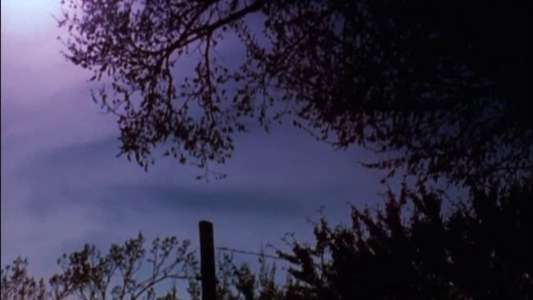 The Stars Are Beautiful - Backdrops