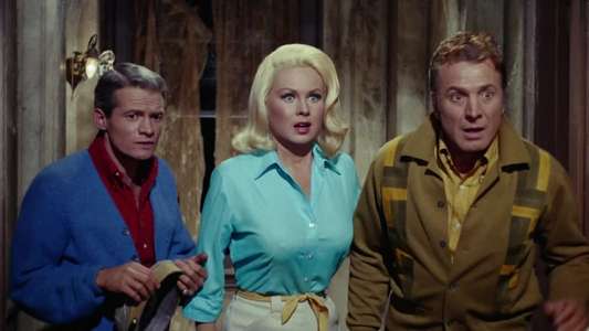 Hillbillys in a Haunted House - Backdrops