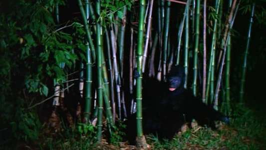 The Beast That Killed Women - Backdrops