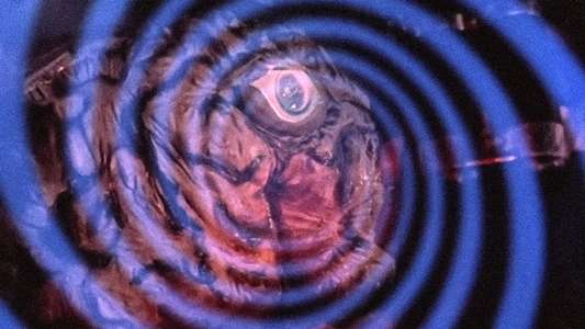 Journey to the Seventh Planet - Backdrops