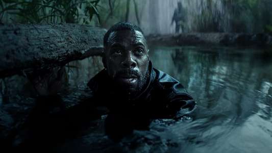 The Madness - Backdrops