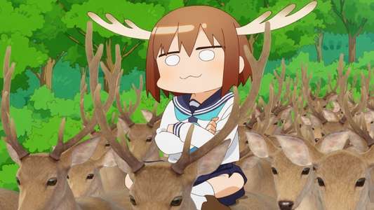 My Deer Friend Nokotan - Backdrops