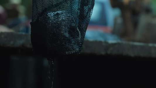 Sector 36 - Backdrops
