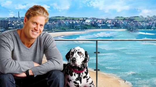 Bondi Vet - Backdrops