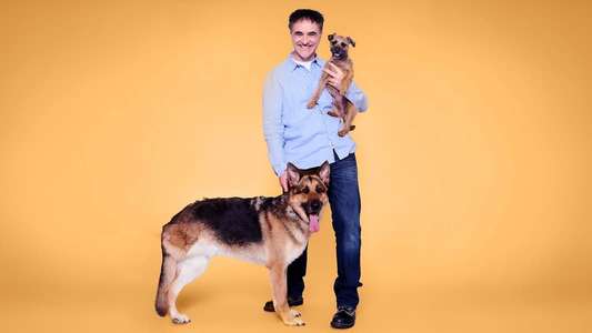 The Supervet - Backdrops