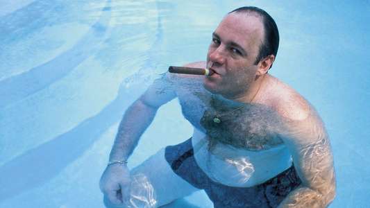 Wise Guy David Chase and The Sopranos - Backdrops