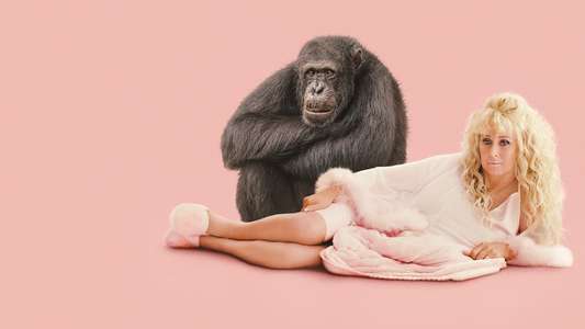 Chimp Crazy - Backdrops