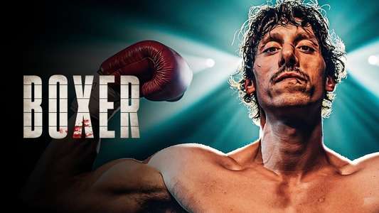 Boxer - Backdrops