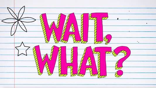 Wait  What? - Backdrops