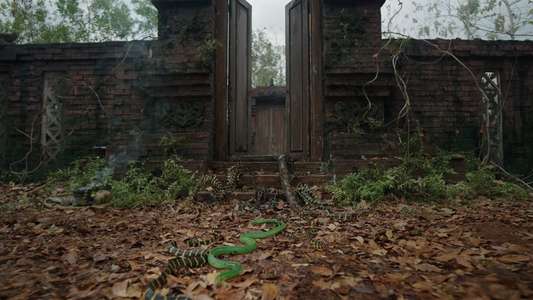 Dancing Village: The Curse Begins - Backdrops