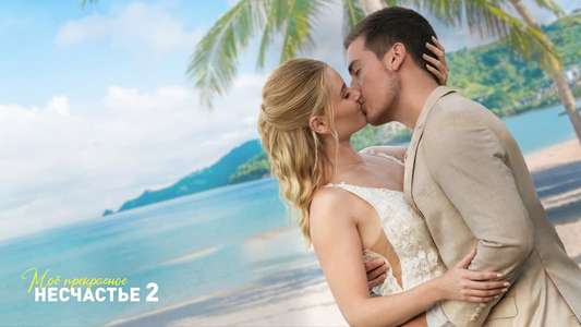 Beautiful Wedding - Backdrops