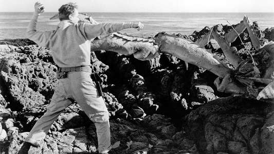 Attack of the Crab Monsters - Backdrops