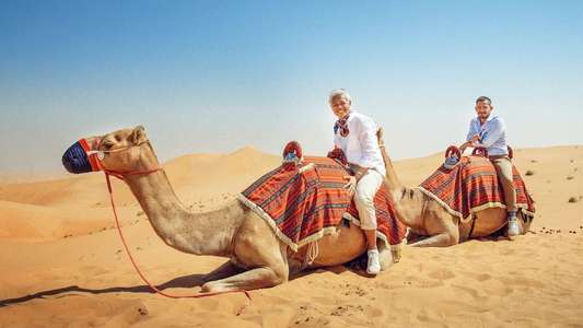 Amazing Hotels: Life Beyond the Lobby - Backdrops