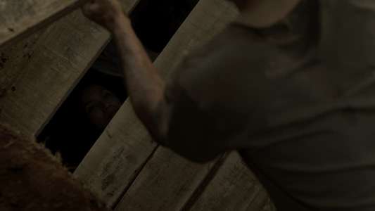 Grave Torture - Backdrops