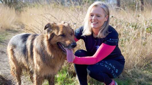 The Supervet - Backdrops