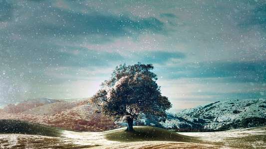 Who Do You Think You Are? - Backdrops
