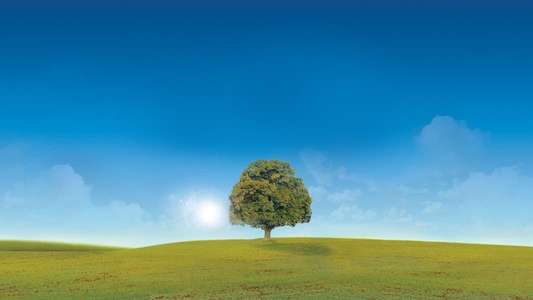 Who Do You Think You Are? - Backdrops