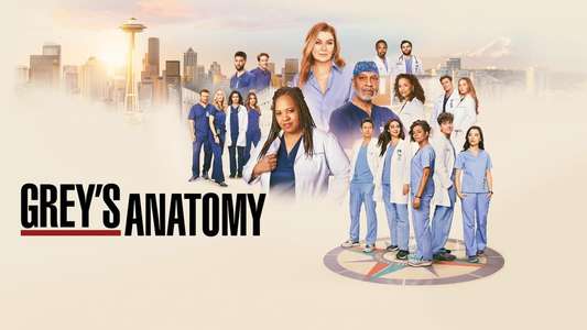 Grey's Anatomy - Backdrops