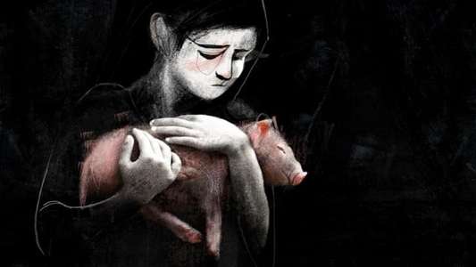 Letter to a Pig - Backdrops
