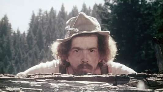 Sasquatch  the Legend of Bigfoot - Backdrops