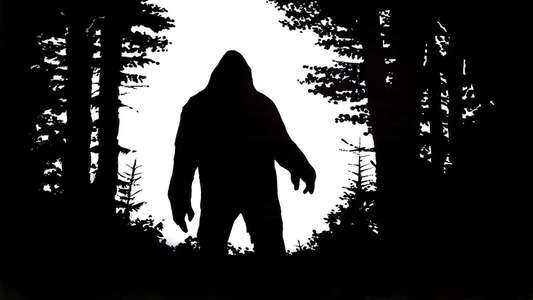 Sasquatch  the Legend of Bigfoot - Backdrops