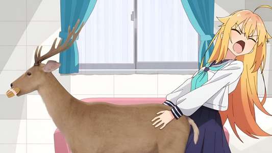 My Deer Friend Nokotan - Backdrops