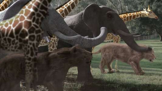 Zoombies 2 - Backdrops