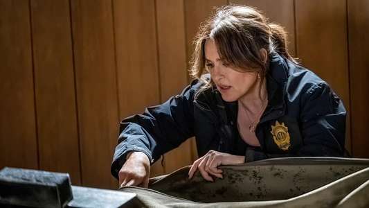 Law & Order: Special Victims Unit - Backdrops