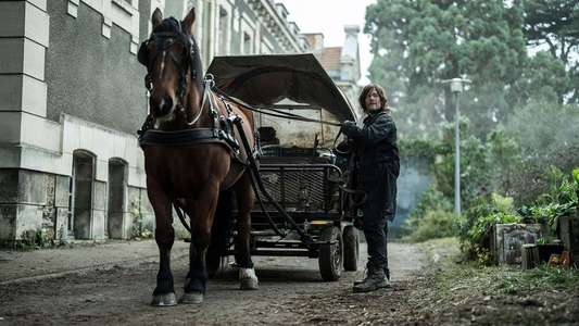 The Walking Dead: Daryl Dixon - Backdrops