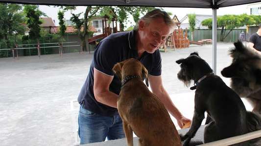 Man & Beast with Martin Clunes - Backdrops