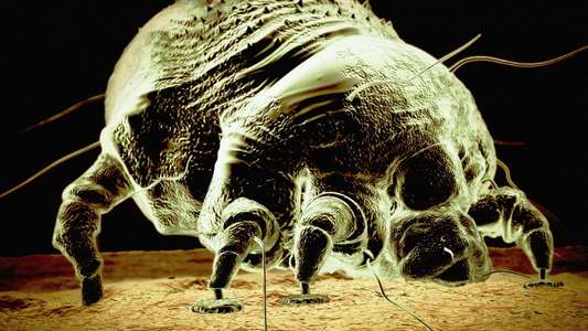 Monsters Inside Me - Backdrops