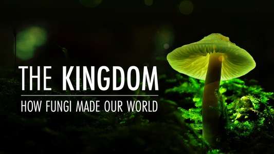 The Kingdom: How Fungi Made Our World - Backdrops