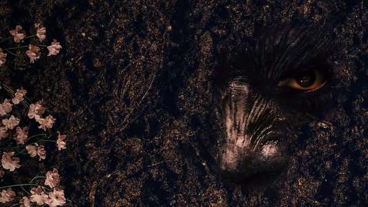 Exhuma - Backdrops