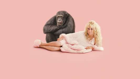 Chimp Crazy - Backdrops